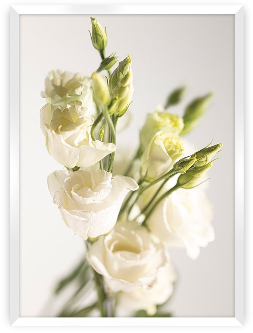 Dekoria Dekoria Plakat Elegant Flowers 70 x 100 cm Ramka Biała 223F-000-24