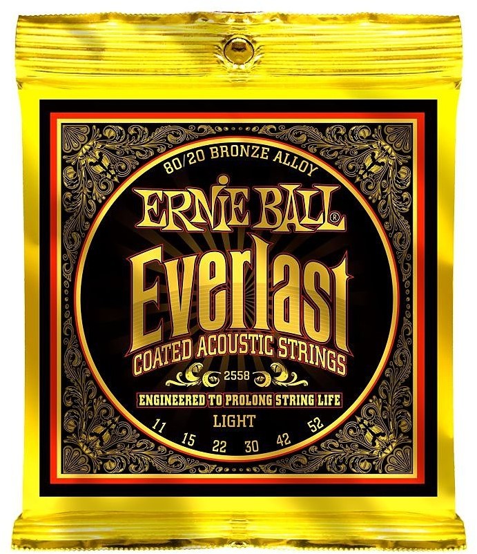 Ernie Ball ep02558 Everlast Bronze 80/20 11  52 Light 2558