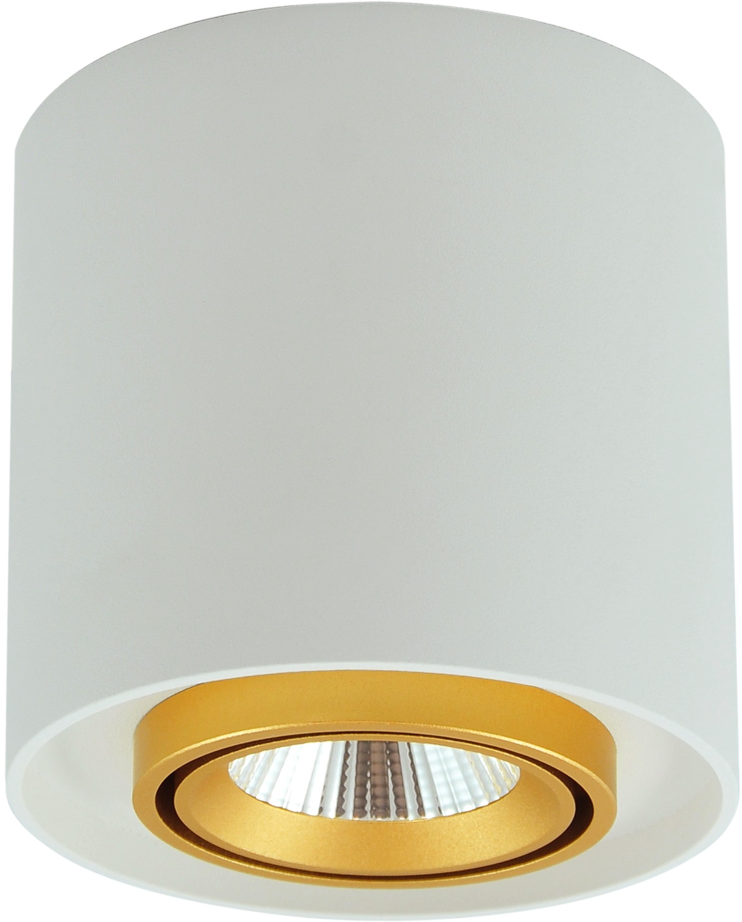 Polux Oprawa natynkowa LED XENO okrągła 3000K 10W 800lm biały-złoty 312037 SANICO 312037