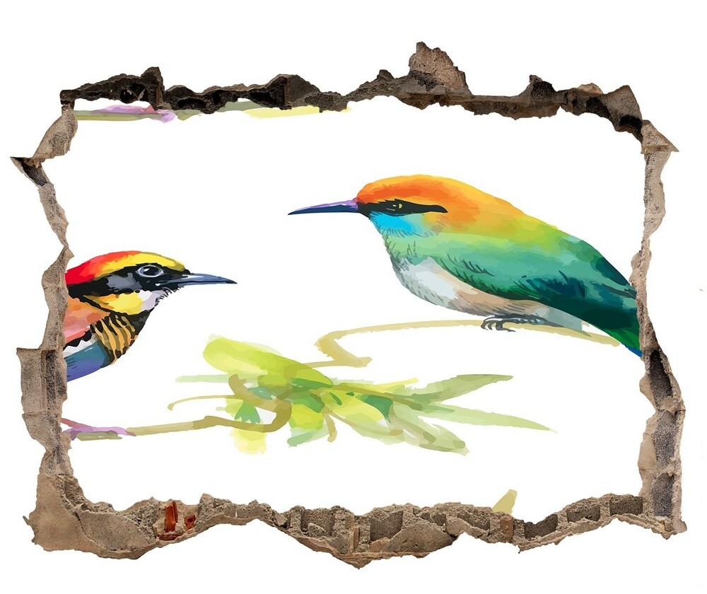 Wallmuralia.pl Dziura 3d fototapeta na ścianę Egzotyczne ptaki