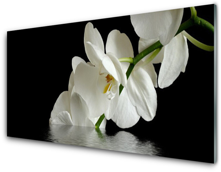 Tulup.pl Panel Szklany Orchidea w Wodzie Kwiaty 120x60cm