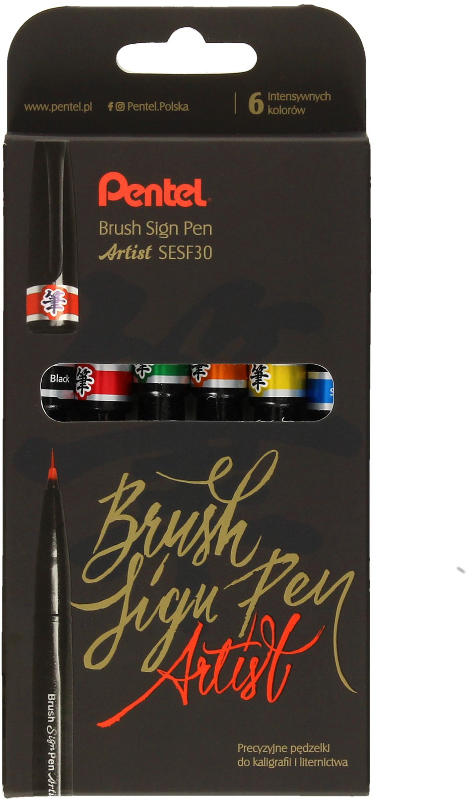 Pentel Pisaki artystyczne 6kol podstawowych Artist Brush Sign Pen