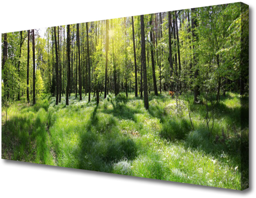 PL Tulup Obraz Canvas Las Trawa Roślina Natura 100x50cm