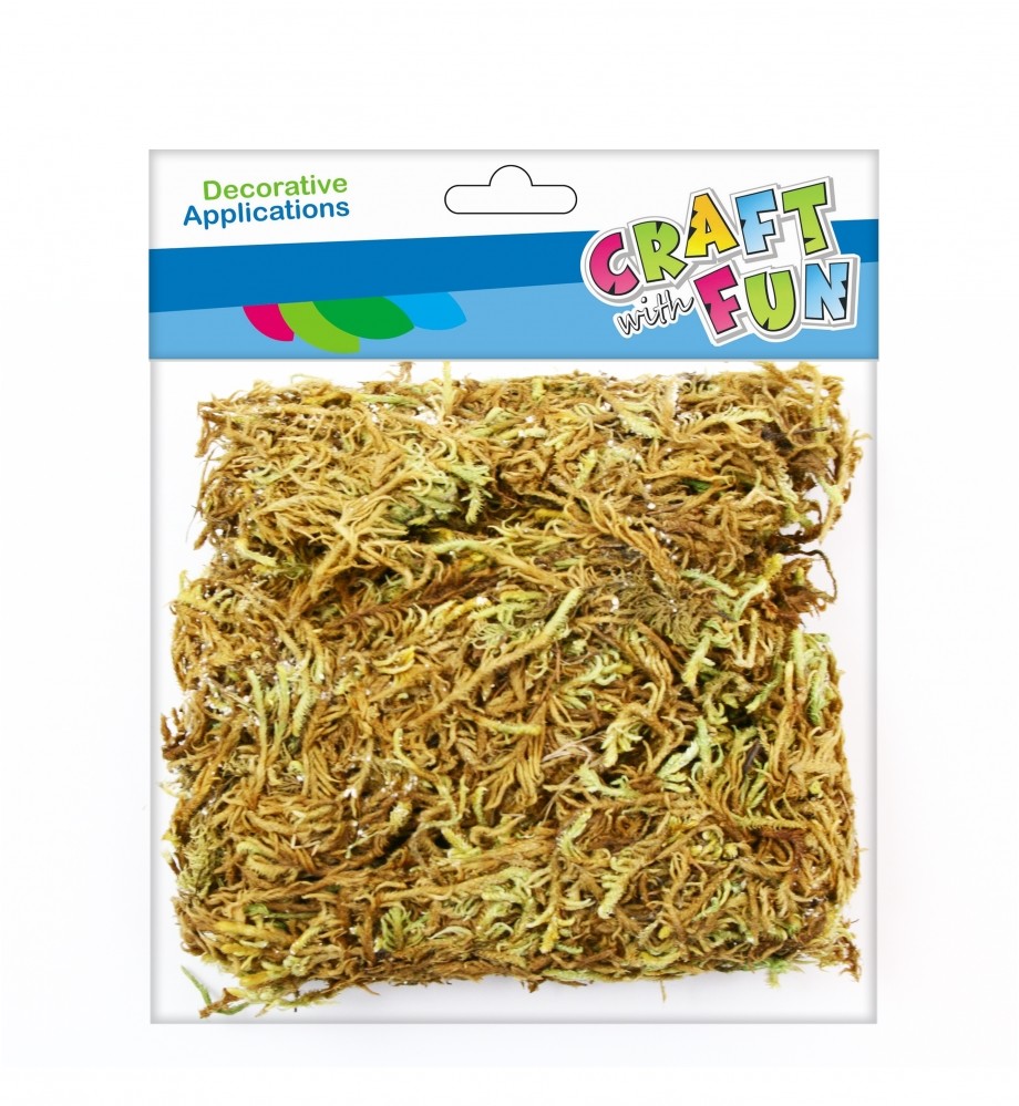 Craft with Fun Ozdoba dekoracyjna Natura Mech 50g Pbh 12/96