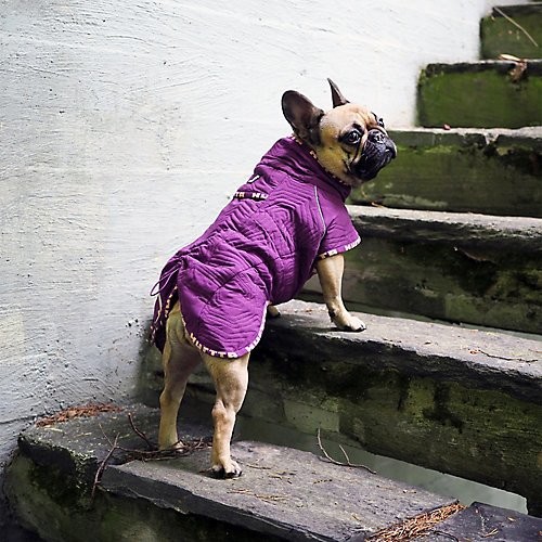 Hurtta Casual kurtka, pikowana dla psów typu Bulldog, niebieski HU932788