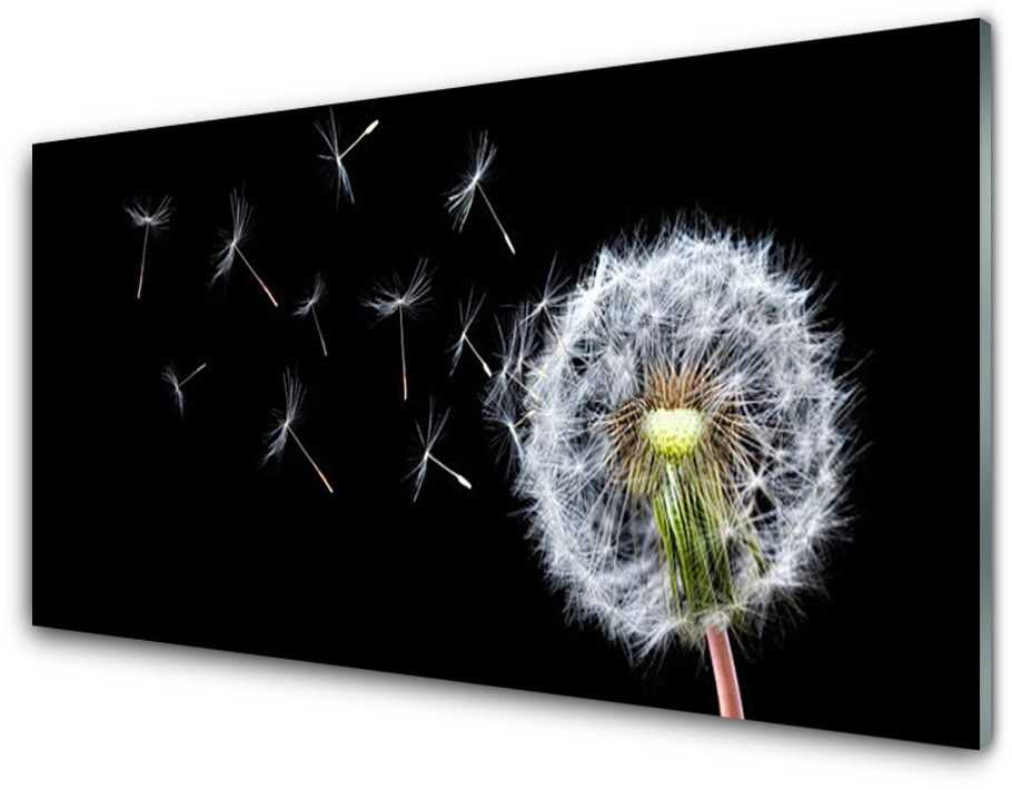 Tulup.pl Panel Szklany Dmuchawce Kwiaty Natura 100x50cm