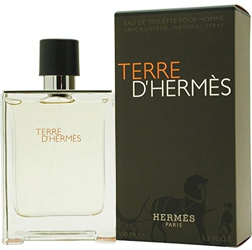 Hermes Terre dhermes EDT vaporizador 100 ML 18680