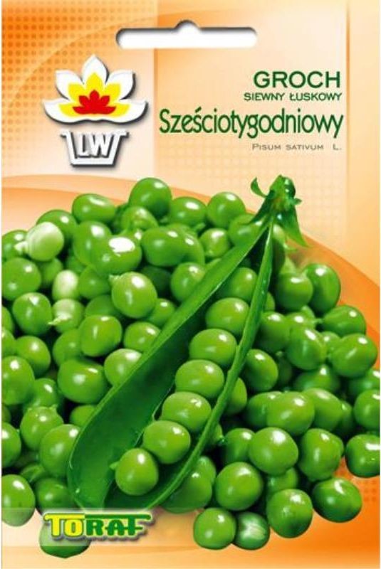 Toraf Groch Sześciotygodniowy nasiona warzyw 50g 00108