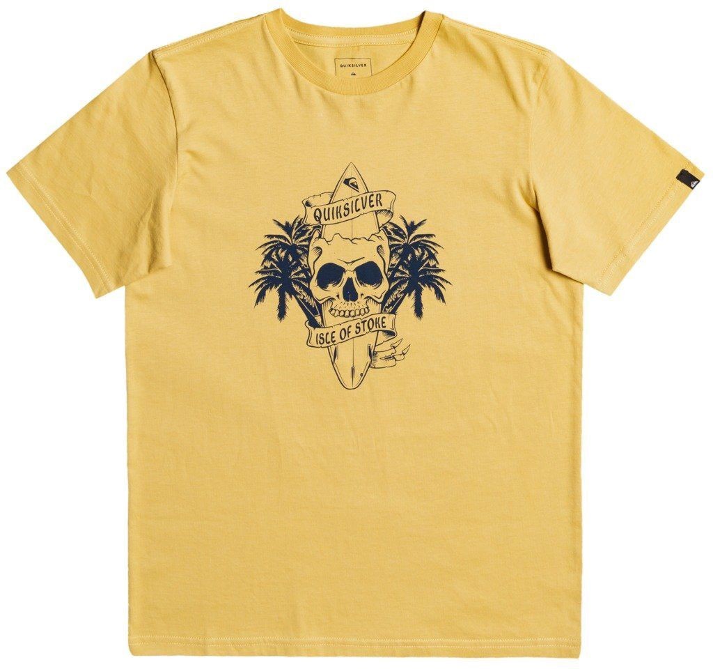 Quiksilver t-shirt YOUTH NIGHT SURFER TEE Rattan YHP0