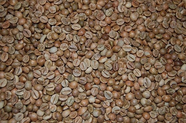 Lezatcoffee CHERRY India - Robusta 100% - 1 kg