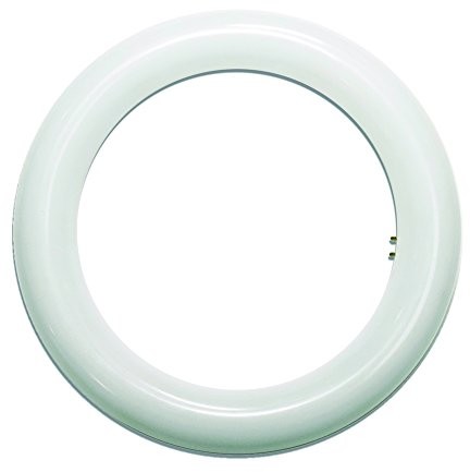LightED Żarówki LED Lighted, okrągły, 2G10, 15 W, biały, 215 MM T9 LED 15W 65K