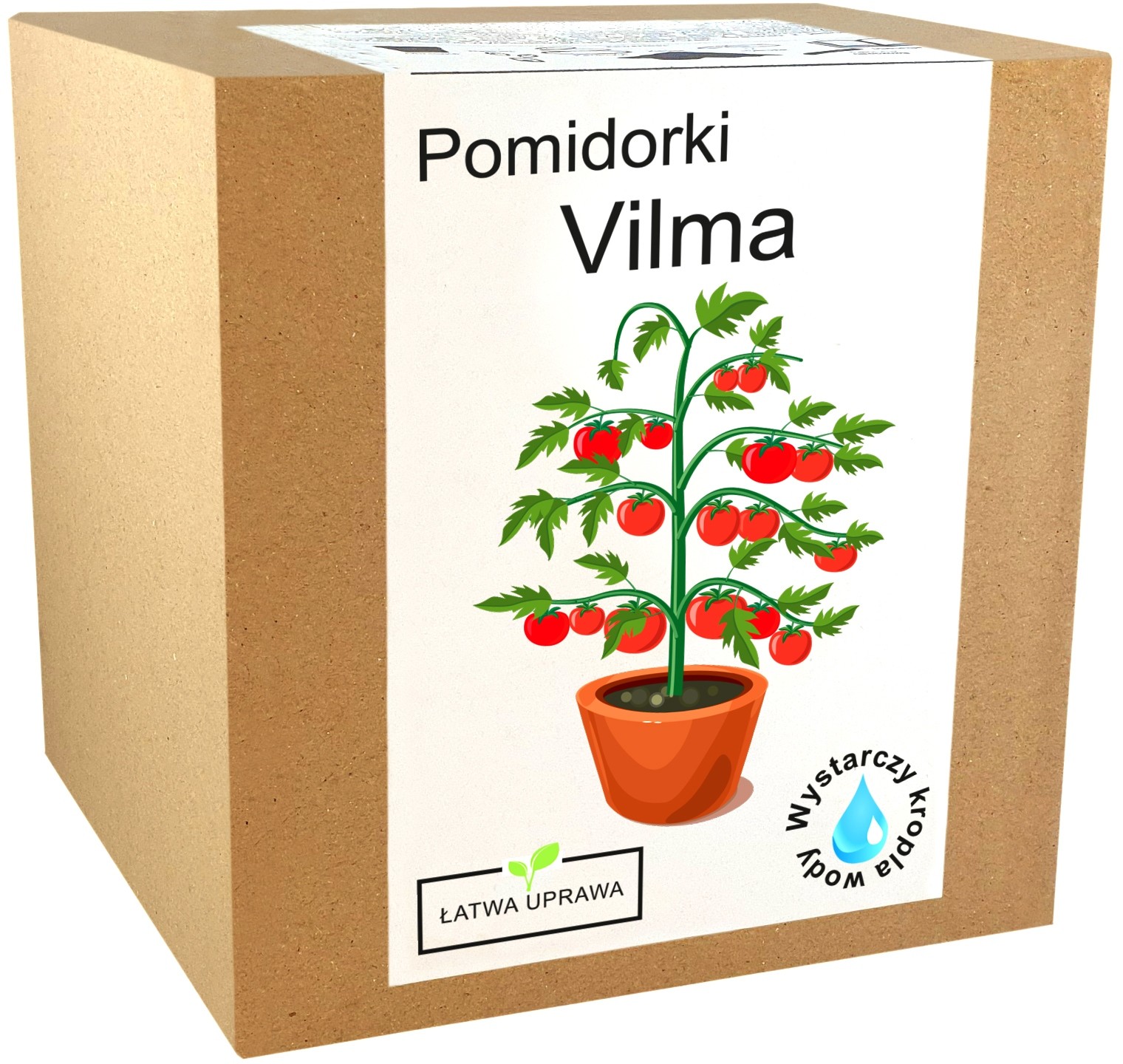 Zestaw do Uprawy Pomidor vilma pomidory koktajlowe