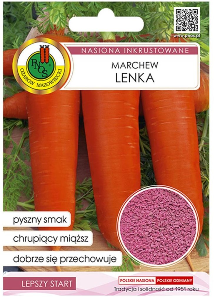 Pnos Marchew jadalna Lenka nasiona inkrustowane