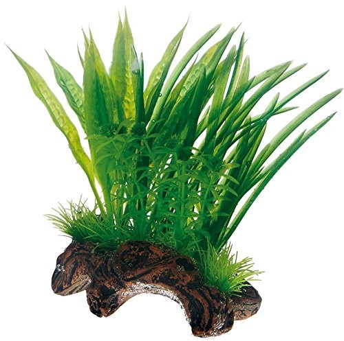 Hobby Flora Root replika korzeni ze sztucznymi roślinami, s