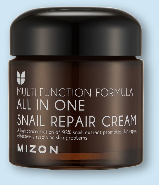 Mizon All In One Snail Repair Cream - 120 ml