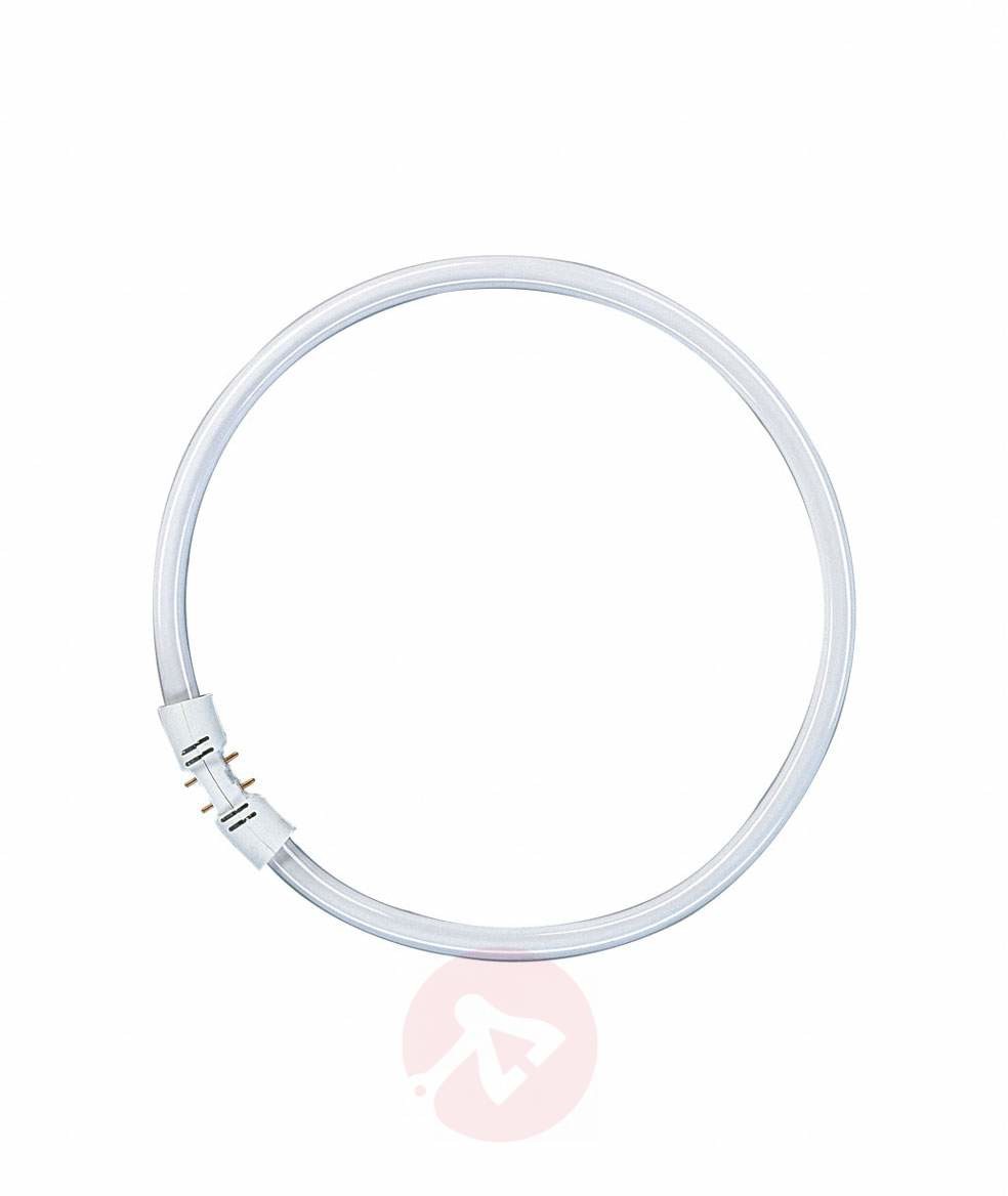 Osram Świetlówka kołowa 2Gx13 LUMILUX T5 22W 840