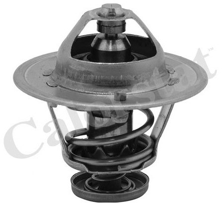 CALORSTAT Termostat, środek chłodzący CALORSTAT TH6252.85J