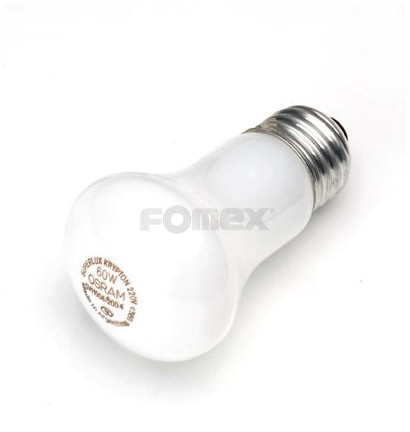 Fomex Żarówka modelująca 60W/230V dla lamp Cricket 2396