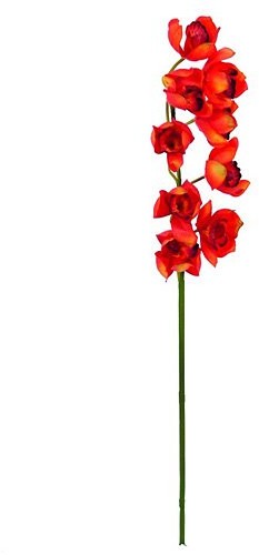 Europalms Euro Palms 82530315 cymbidium gałąź, 90 cm, czerwony 82530315