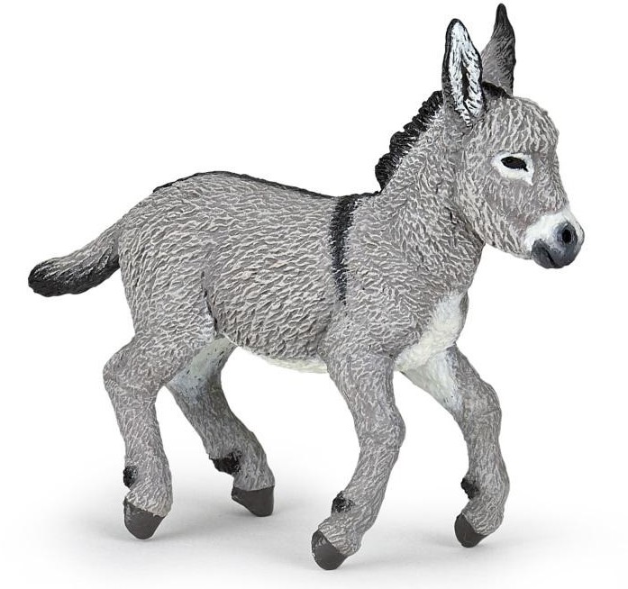 Papo Osioł prowansalski mlody