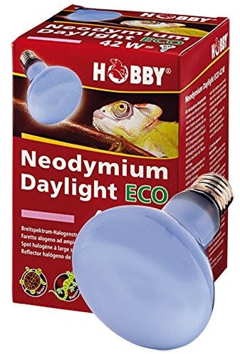 Hobby neodym Daylight Eco, 42 W