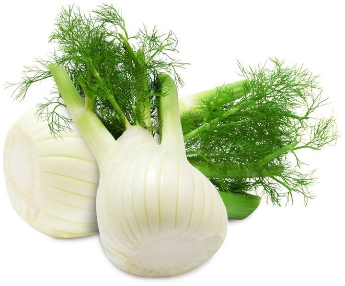 ŚWIEŻE KOPER WŁOSKI ŚWIEŻY (FENKUŁ) BIO (około 0,45 kg)
