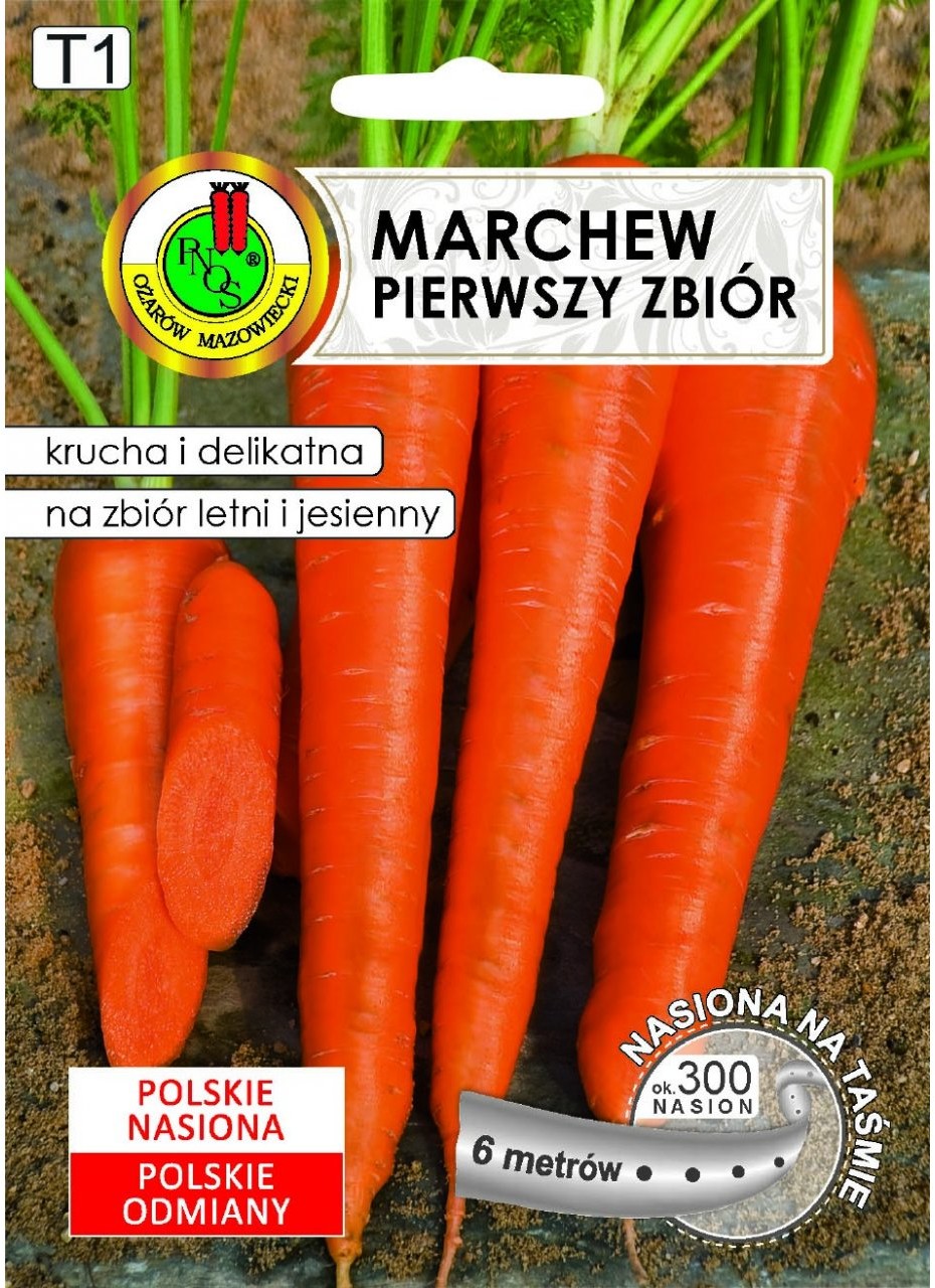 Pnos Marchew Jadalna Pierwszy Zbiór 6 m
