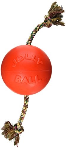 Jolly Pets psy romp-N-Roll-zabawka, 20 cm, pomarańczowy