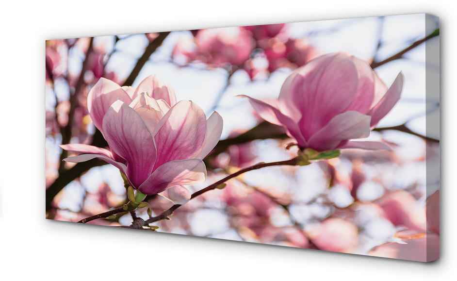 PL Tulup Obrazy na płótnie Magnolia drzewa 125x50cm