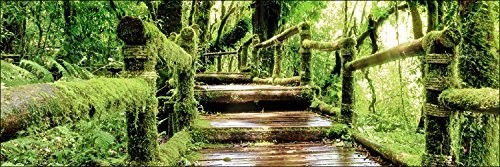 Pro-Art-Bilderpalette Pro-Art g1715s obraz na ścianę wydruk Giclée 'Mossy Bridge' 90 x 30 cm g1715s