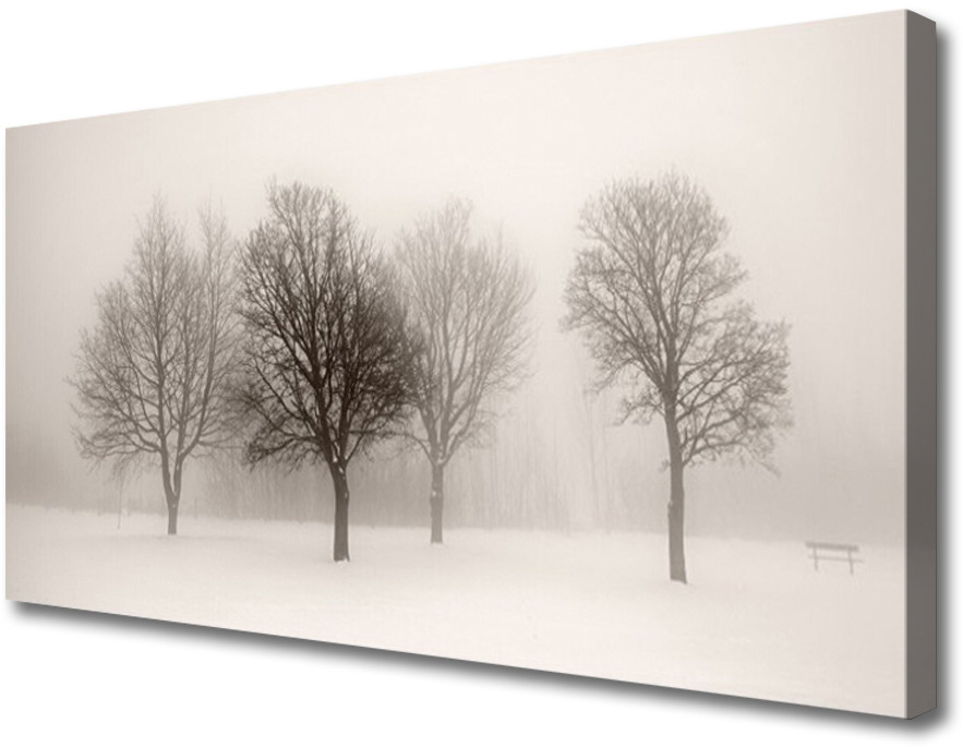 PL Tulup Obraz Canvas Śnieg Drzewa Krajobraz 120x60cm