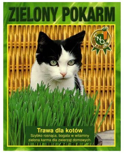 Trawa dla kotów ZIELONY POKARM