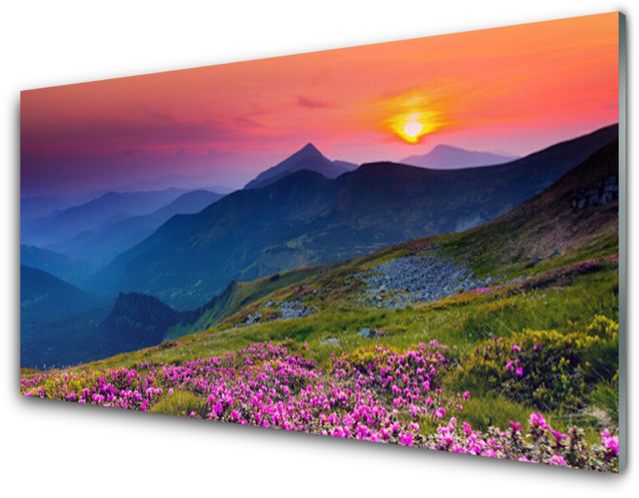 Tulup.pl Panel Szklany Góry Łąka Kwiaty Krajobraz 100x50cm