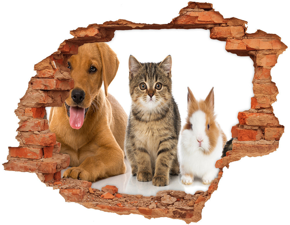 Wallmuralia.pl Dziura 3d fototapeta na ścianę Pies i kot