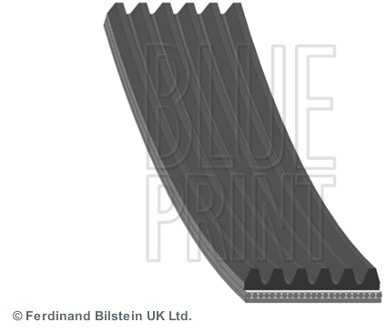 Blue Print Pasek klinowy wielorowkowy BLUE PRINT AD06R1695