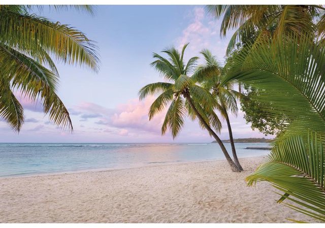 Fototapeta PARADISE MORNING 248 x 368 cm