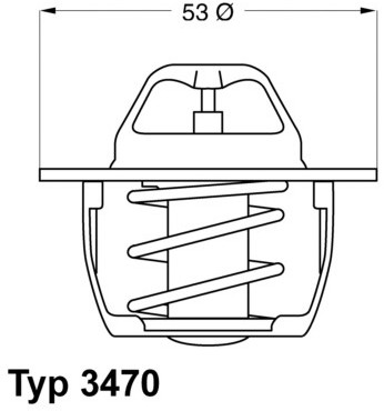 Wahler Termostat, żrodek chłodzący 3470.89D50