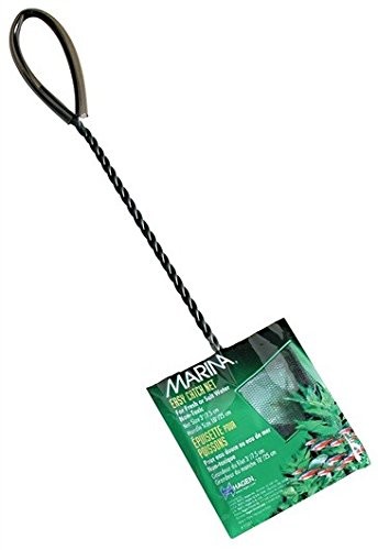 Marina Mincioc Verde 15 Cm