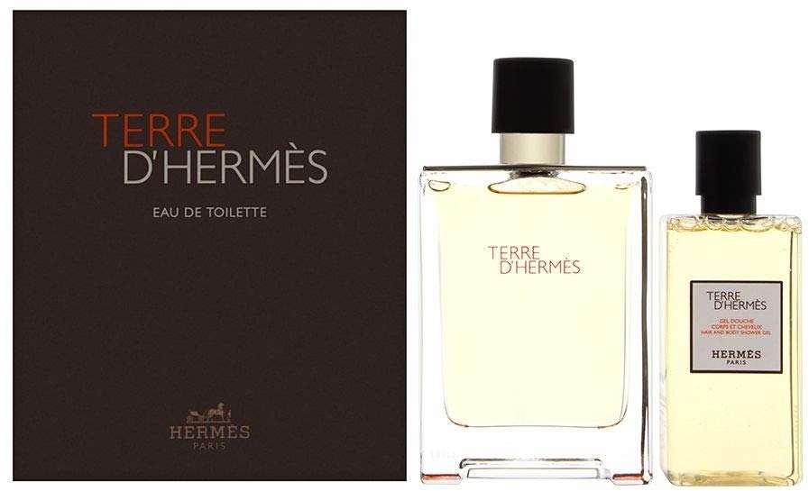 Hermes Terre D EDT 100ml + SG 80ml