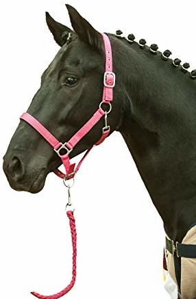 HKM Halfter -Stars Softice-, miękka podkładka, różowy 2785-3900-0758