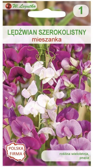Legutko Lędźwian szerokolistny MIESZANKA