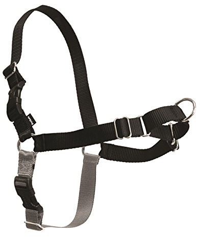 PetSafe Naczynia do petsafe Easy Walk -, czarny/srebrny, l EWH-HC-L-BLK