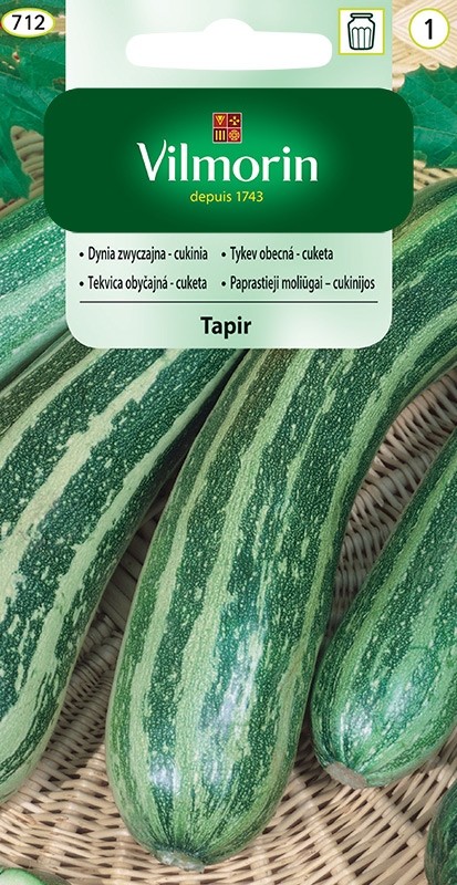 Vilmorin Dynia zwyczajna - cukinia Tapir 2g