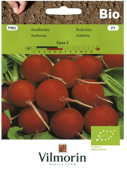 Vilmorin Nasiona rzodkiewka Saxa 2
