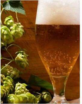 Kurs degustacji piwa  wiele lokalizacji P0005018