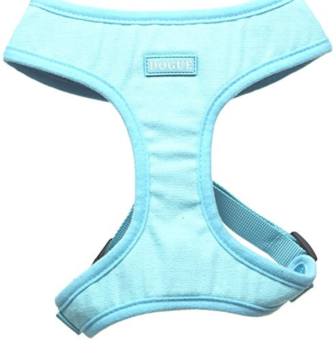 DOGUE dogue D _ boldg softgesc dla dzieci Bold, niebieska, S