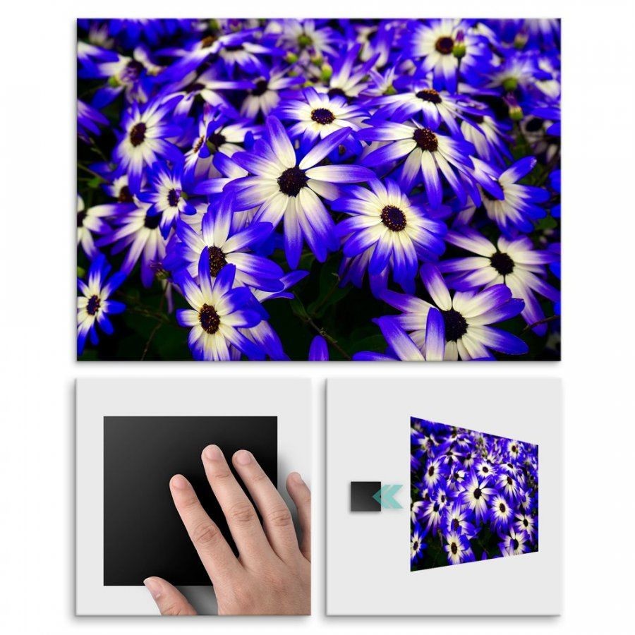 Pix4home Plakat metalowy kwiaty M POS-M-01424