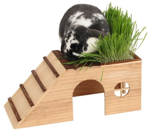 Kerbl 82746 domek Nager Nature 47 x 22 x 20 cm z rampą i zintegrowaną wyściółka miejsca