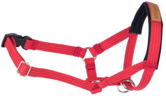 Ami Play Cotton Halter XS Yorkshire Terrier 10-18 x 19-25 x 1,5 cm Czerwony