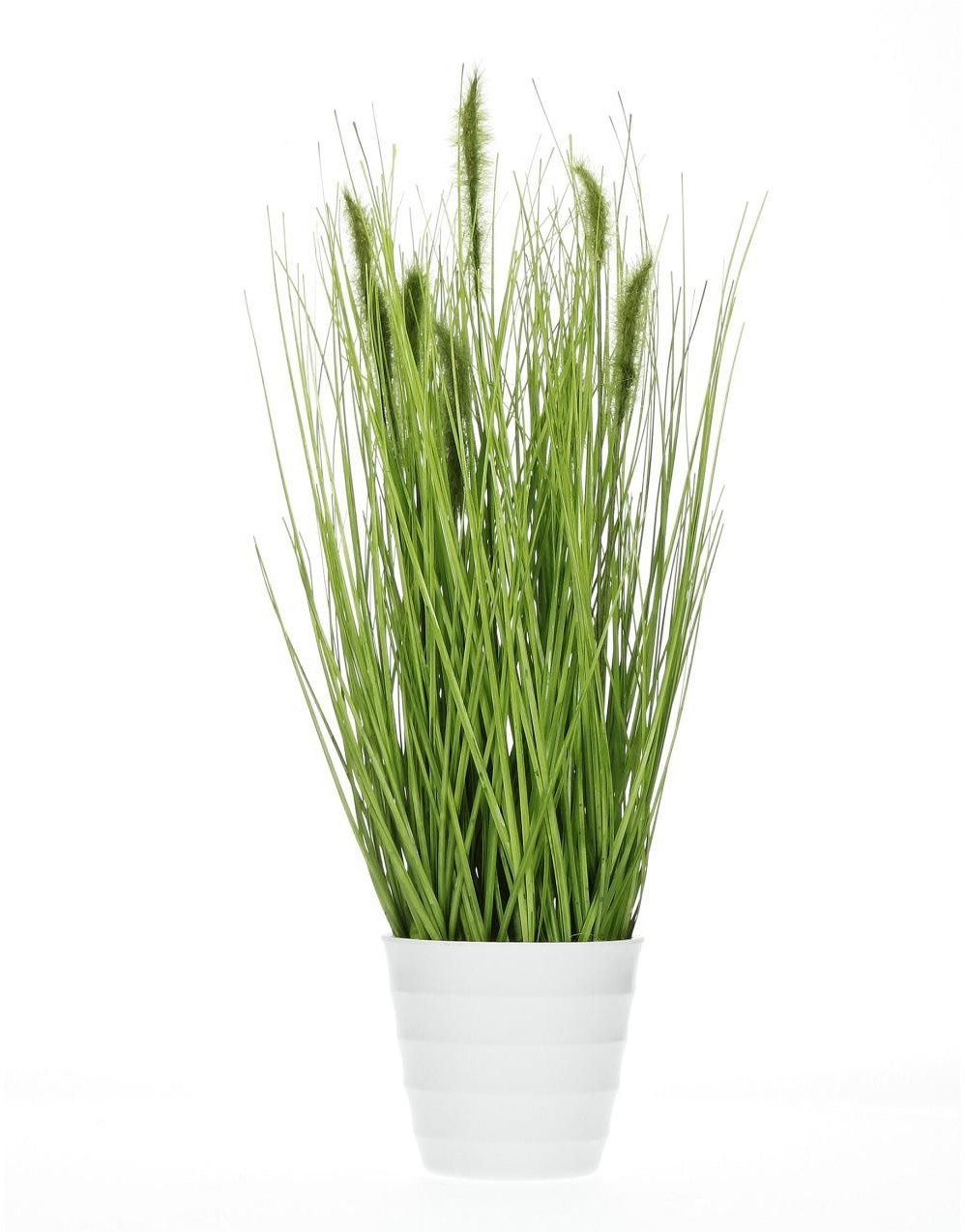 Dekoria Dekoria Dekoracja Plant I wys 48cm 12x12x48cm 809-960